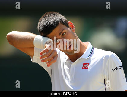 London, London, UK. 4. Juli 2014. Serbiens Novak Djokovic im Halbfinale der Herren Einzel-Match gegen Bulgariens Grigor Dimitrov bei der 2014 Wimbledon Championships in Wimbledon, Südwesten von London, am 4. Juli 2014 Gesten. Bildnachweis: Meng Yongmin/Xinhua/Alamy Live-Nachrichten Stockfoto