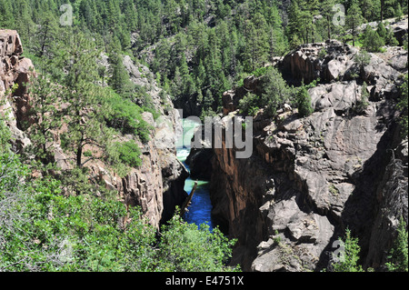 Der Durango und Silverton Eisenbahnstrecke durch den San Juan Mountains. Stockfoto