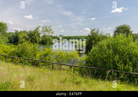 Sheepwash Local Nature Reserve in Dudley, West Midlands Stockfoto