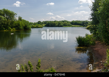 Sheepwash Local Nature Reserve in Dudley, West Midlands Stockfoto
