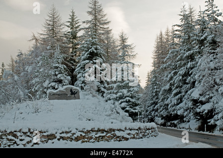 Eingang zum Cairngorm National Park durch verschneite Bäume Stockfoto