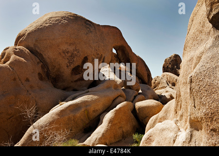 Arch Rock, Joshua Tree Nationalpark, Kalifornien USA Stockfoto