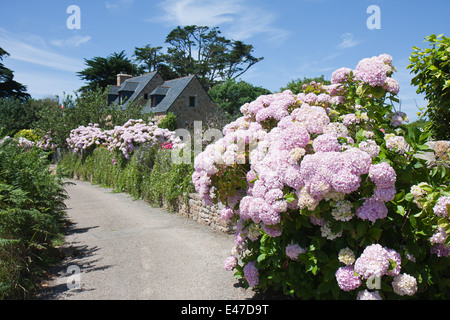 Altes traditionelles Haus mit Garten in der Bretagne, Frankreich Stockfoto