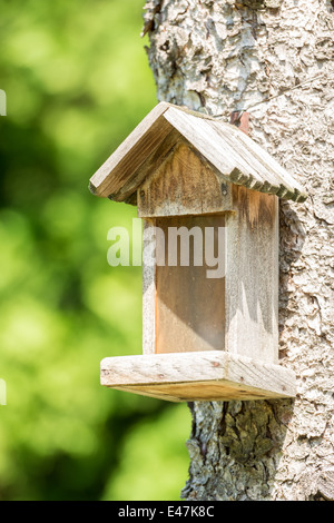 Kleiner Vogelhaus am Baum Stockfoto