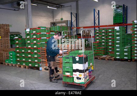 Terra Naturkost Handels KG Stockfoto