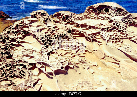 Sand Stein Erosion Beispiel im Salt Point State Park, Sonoma Kalifornien Küste, bekannt als "Tafoni" Stockfoto