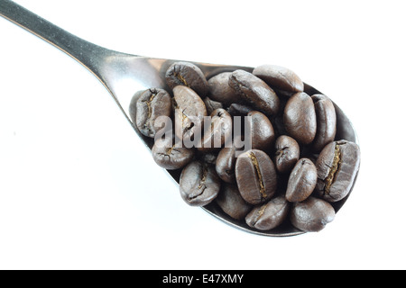 Kaffeebohnen in einem Edelstahl-Löffel auf weißem Hintergrund. Stockfoto