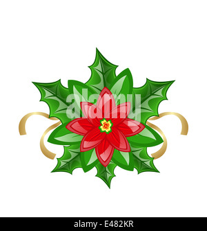 Abbildung Blume Weihnachtsstern für Weihnachtsdekoration Stockfoto