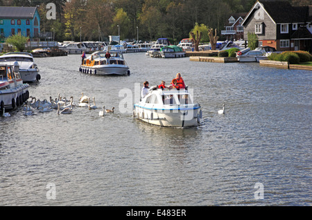 Ein Blick auf Cruiser auf dem Fluss Bure auf den Norfolk Broads in Wroxham, Norfolk, England, Vereinigtes Königreich. Stockfoto