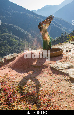 Eine Frau, Worfeln die Spreu, Uttarakhand, Indien. Stockfoto