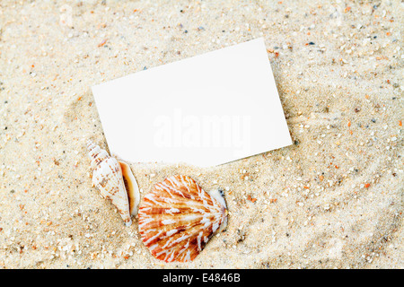 Muscheln mit leeren Karte Stockfoto