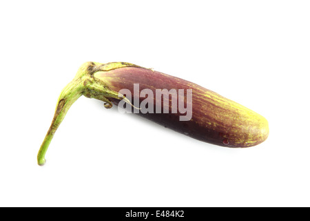 lila Aubergine isoliert auf weißem Hintergrund. Stockfoto