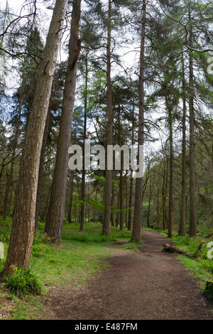 Hardcastle Klippen Naturpark, Hebden Bridge, Stockfoto