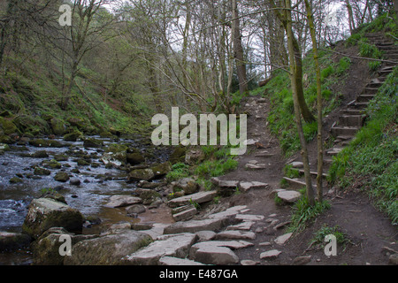 Hardcastle Klippen Naturpark, Hebden Bridge, Stockfoto