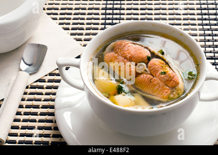 Fisch Suppe Diät schlank schnell Forelle Lachs rot grün frischer Fenchel Zwiebeln weiß Tisch Tischdecke Geschirr essen Fertiggerichte Suppenterrine Stockfoto