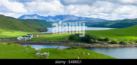 Cuillin Gebirge - Cullins - Croft Farm, Schafe und Loch Harport auf Isle Of Skye in den Highlands und Inseln Schottlands Stockfoto