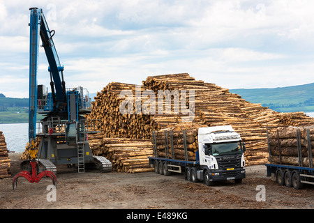 Protokollierung und Holzproduktion und Transport in Craignure auf der Isle of Mull in der Inneren Hebriden in Schottland Stockfoto