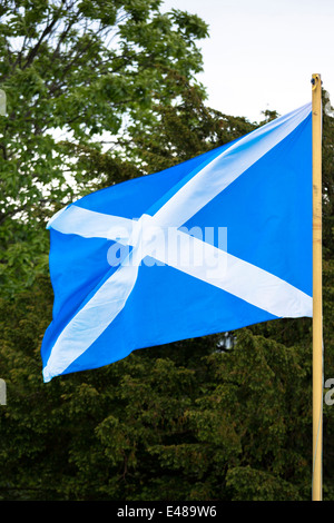 Saltire Flagge von St. Andrew fliegen vom Fahnenmast als schottisches Referendum Unabhängigkeit Kampagne fordert, dass Wähler ja für Schottland Stockfoto