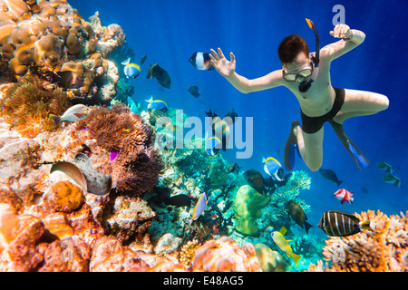 Schnorchler Tauchen entlang der Hirnkoralle. Malediven Indischer Ozean Korallenriff. Stockfoto