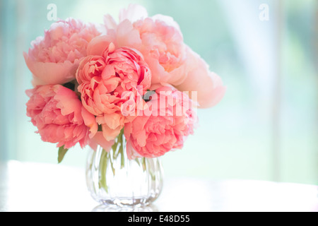 Rosa Pfingstrosen in vase Stockfoto