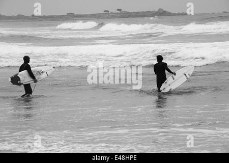 Surfer mit Surfbrettern vorm Tauchgang in die Brandung am Kiesstrand in der Nähe von Pacific Grove in Kalifornien gehen Stockfoto