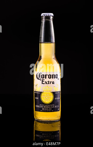 Corona Extra Bierflasche Stockfoto