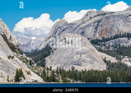Pywiack und Medlicott Dome am Tenaya Lake. Yosemite Nationalpark, Kalifornien, USA. Stockfoto