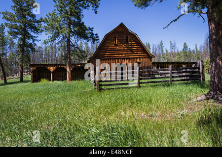 alten verlassenen Bauernhaus in den Black Hills von South Dakota Stockfoto