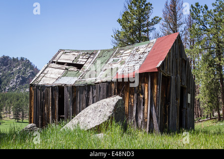 alten verlassenen Bauernhaus in den Black Hills von South Dakota Stockfoto