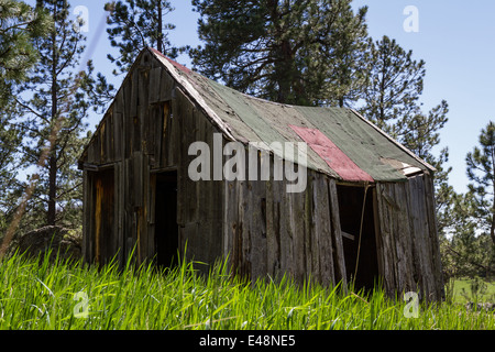 alten verlassenen Bauernhaus in den Black Hills von South Dakota Stockfoto