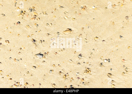 Glatte Natursteine und an einem warmen gelben Strand Sand abstrakt Stockfoto