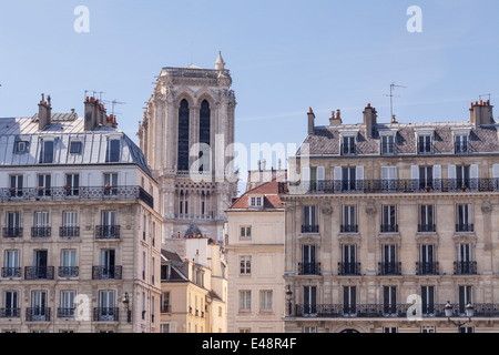 Notre Dame Kathedrale erhebt sich über Île De La Cité in Paris. Stockfoto