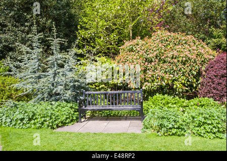 Hölzerne Parkbank inmitten eines wunderschönen Landschaftsgärten in outdoor-Ambiente Stockfoto