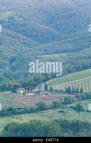 Morgendämmerung über die Weinberge in der Nähe von Radda in Chianti. Diese Gegend der Toskana produziert eines der berühmtesten Weine Italiens. Stockfoto