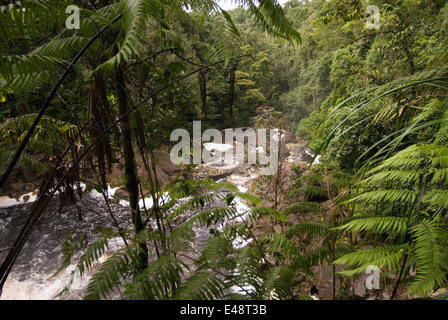 Wasserfälle Popokvil. Bokor National Park. Popokvil WaterfallPopokvil, d. h. wirbelnde Wolken ist möglicherweise nach der Ling benannt. Stockfoto