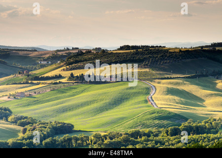 Landschaft in der Nähe von Monticchiello, Toskana. Die Gegend ist Teil des Val d ' Orcia. Stockfoto