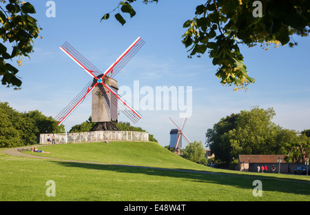 Brügge, Belgien - 12. Juni 2014: Wind-Mühle Koeleweimolen und Sint-Janshuismolen Stockfoto