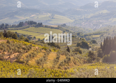 Weinberge und Olivenhaine in der Nähe von Greve in Chianti. Die Gegend ist Teil des berühmten Chianti Wein in der Toskana. Stockfoto