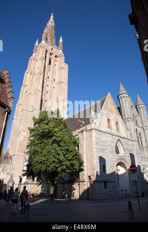 Brügge, Belgien - 13. Juni 2014: Kirche unserer lieben Frau aus Süd - West im Abendlicht Stockfoto