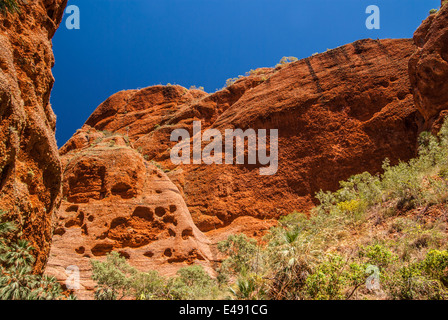 ECHIDNA CHASM, BUNGLE BUNGLES, PURNULULU, NATIONAL, PARK, KIMBERLEY, WESTERN, AUSTRALIEN Stockfoto