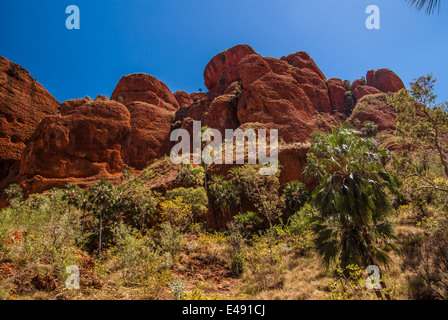 ECHIDNA CHASM, BUNGLE BUNGLES, PURNULULU, NATIONAL, PARK, KIMBERLEY, WESTERN, AUSTRALIEN Stockfoto