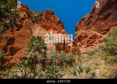 ECHIDNA CHASM, BUNGLE BUNGLES, PURNULULU, NATIONAL, PARK, KIMBERLEY, WESTERN, AUSTRALIEN Stockfoto