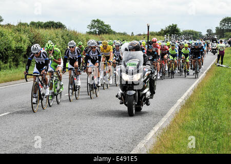 Green Hammerton, Yorkshire, Großbritannien. 6. Juli 2014. Das Hauptfeld auf der zweiten Etappe der Tour De France Kredit: Richard Burdon/Alamy Live News Stockfoto