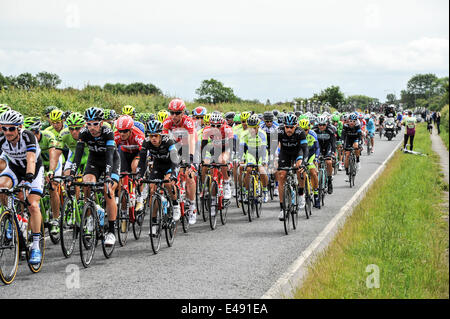 Green Hammerton, Yorkshire, Großbritannien. 6. Juli 2014. Das Hauptfeld auf der zweiten Etappe der Tour De France Kredit: Richard Burdon/Alamy Live News Stockfoto