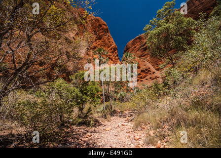 ECHIDNA CHASM, BUNGLE BUNGLES, PURNULULU, NATIONAL, PARK, KIMBERLEY, WESTERN, AUSTRALIEN Stockfoto