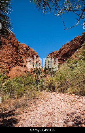 ECHIDNA CHASM, BUNGLE BUNGLES, PURNULULU, NATIONAL, PARK, KIMBERLEY, WESTERN, AUSTRALIEN Stockfoto