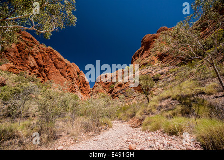 ECHIDNA CHASM, BUNGLE BUNGLES, PURNULULU, NATIONAL, PARK, KIMBERLEY, WESTERN, AUSTRALIEN Stockfoto