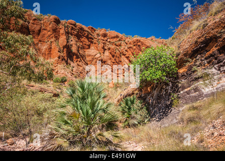 ECHIDNA CHASM, BUNGLE BUNGLES, PURNULULU, NATIONAL, PARK, KIMBERLEY, WESTERN, AUSTRALIEN Stockfoto