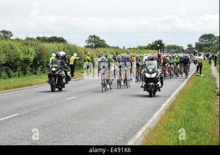 Green Hammerton, Yorkshire, Großbritannien. 6. Juli 2014. Das Hauptfeld auf der zweiten Etappe der Tour De France Kredit: Richard Burdon/Alamy Live News Stockfoto