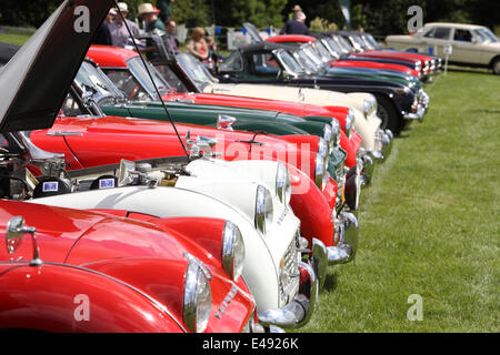Dublin, Irland. 6. Juli 2014. Terenure Klassiker und Oldtimer-Auto-Show Dublin 2014, mit einer starken turn out of Riley Autos aus im Laufe der Jahre. Terenure gehört zu Irlands größte Zusammenkunft von Oldtimer Autos, wobei seine 23. Jahr in Folge. Bildnachweis: Ian Shipley/Alamy Live-Nachrichten Stockfoto